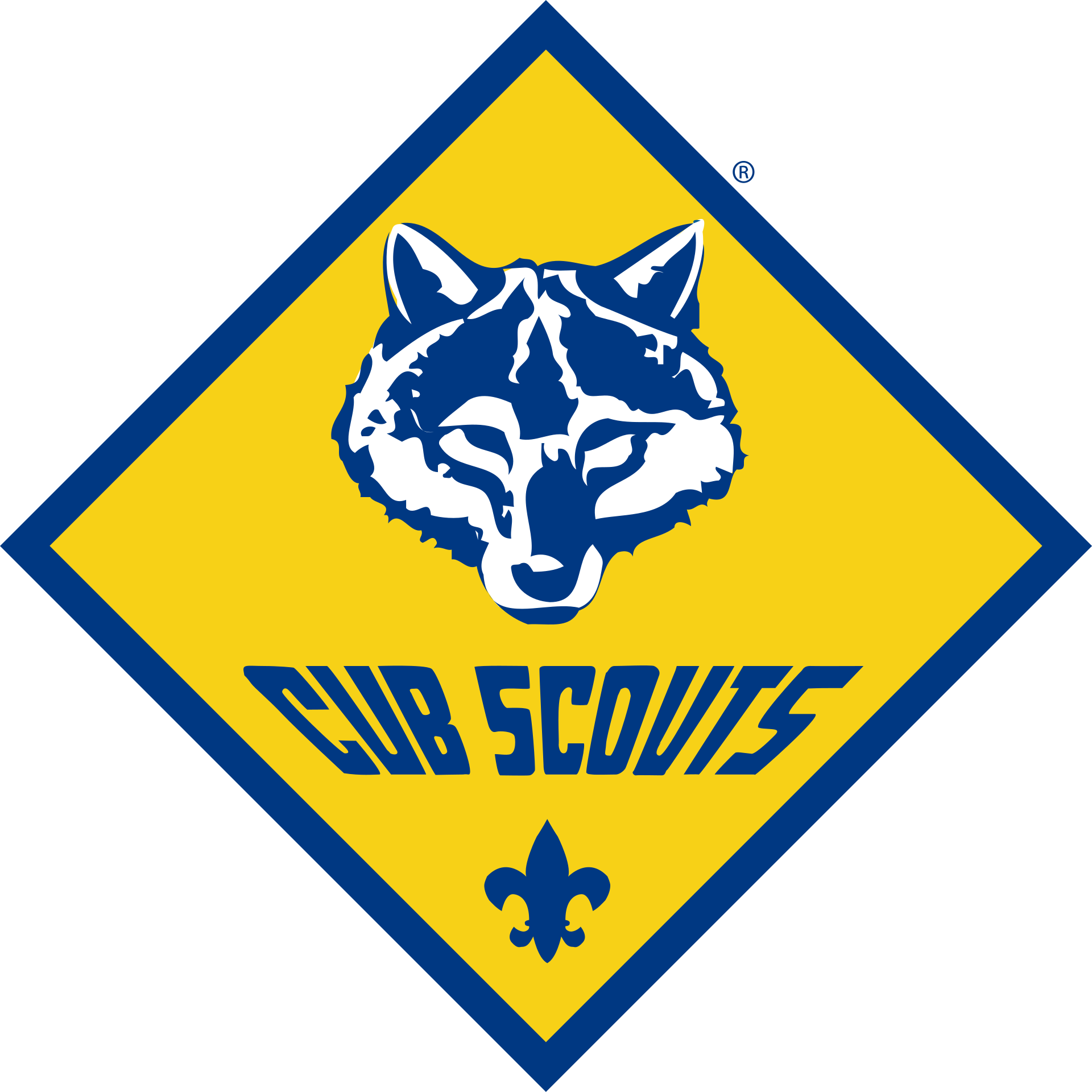 Cub Scout Pack 152